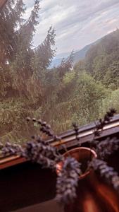Fotografie z fotogalerie ubytování Kuća za odmor Ravne H&N v destinaci Visoko