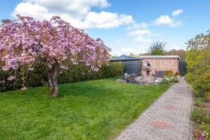 a tree with pink flowers in a yard with a house at Ferienwohnung in Stahlbrode in Stahlbrode +17 photos