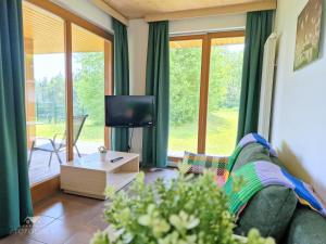 TV a/nebo společenská místnost v ubytování Apartment DREN near terme Topolšica