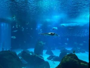 Naturlandskabet i nærheden af lejligheden