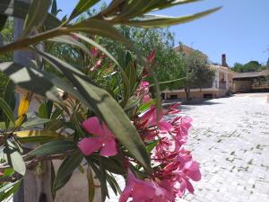 Φωτογραφία από το άλμπουμ του Villa Giorgia σε Noto Marina