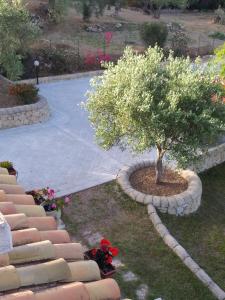 Φωτογραφία από το άλμπουμ του Villa Giorgia σε Noto Marina