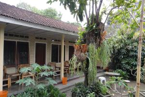 eine Veranda eines Hauses mit einem Baum in der Unterkunft Rapatmaja Mataram Homestay in Tjakranegara