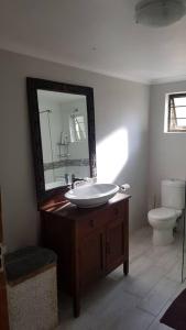 a bathroom with a sink and a mirror and a toilet at Plumb cottage, Greenside in Johannesburg