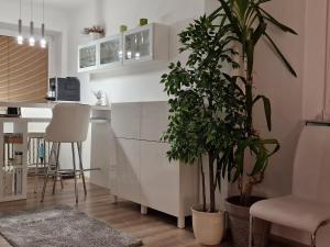 a kitchen with white cabinets and plants in a room at V Zahradě - Stylový apartmán s velkou terasou in Zlín