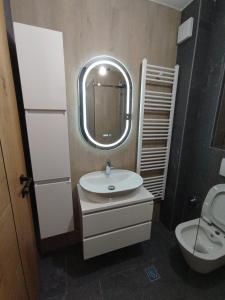 ein Badezimmer mit einem Waschbecken, einem Spiegel und einem WC in der Unterkunft NA STAZI-Luxury Mountain- on the ski slope-Free parking,Tuzlaks apartment in Bjelašnica