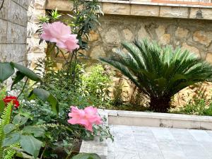 um jardim com flores rosas ao lado de uma parede de pedra em Apartments Villa Mirjana em Budva