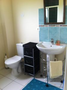 a bathroom with a toilet and a sink at Chambre d'hôte El Dorado in Vittefleur +30 photos