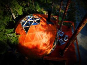 Foto dalla galleria di Treehouse dome a Vidnes