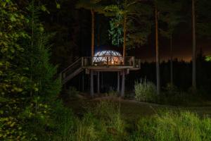 un gazebo nel bosco di notte di Treehouse dome a Vidnes