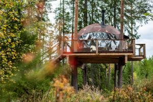 a tree house in the middle of a forest at Treehouse dome in Vidnes
