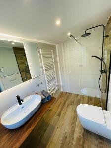 a bathroom with a sink and a shower and a toilet at Ferienoase Eisvogel in Malchin