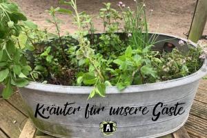 a bucket filled with plants in a garden at Alter Südhof in Borstel