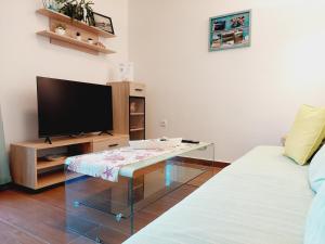 TV a/nebo společenská místnost v ubytování Apartmani Mario