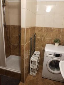 y baño con lavadora y lavadora. en Turistický apartmán ,pro 3-4os en Frenštát pod Radhoštěm