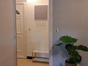 un pasillo con una maceta al lado de una puerta en Cosy appartement centre ville 2 chambres, en Vias