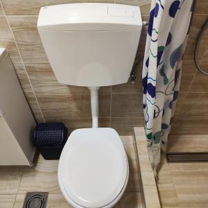 um WC branco numa casa de banho com uma cortina de chuveiro em Real Apartments em Budva