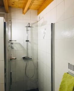 um chuveiro com uma porta de vidro na casa de banho em Chambre d’hôtes calme - Canal Nantes à Brest em Plessé
