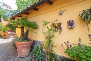 Zahrada ubytování Pace e Relax, Wonderful Villa, Versilia sea view
