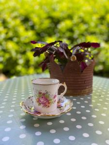 a tea cup and a potted plant on a table at La Locanda Del Tevere in Fiano Romano