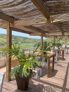 une terrasse avec des tables et des plantes en pot sous une pergola en bois dans l'établissement Osprey Menorca Hotel, à Cala'n Porter