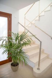 Fotografia z galérie ubytovania Modern Villa in Cala Jondal Porroig v destinácii San Jose de sa Talaia
