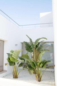 Fotografia z galérie ubytovania Modern Villa in Cala Jondal Porroig v destinácii San Jose de sa Talaia