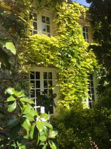 an ivy covered building with a white window at Le 7 du Clos Fleuri 