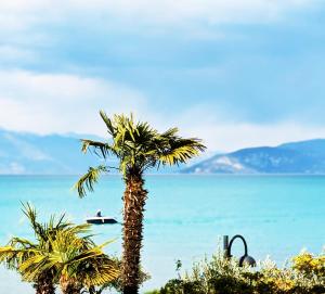 a palm tree on the beach with a boat in the water at VISTA - Lake & Pool in Sirmione