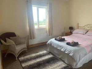 sypialnia z łóżkiem, krzesłem i oknem w obiekcie Mickey's House w mieście Annagry