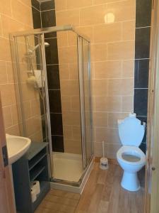 a bathroom with a shower with a toilet and a sink at Mickey's House in Annagry