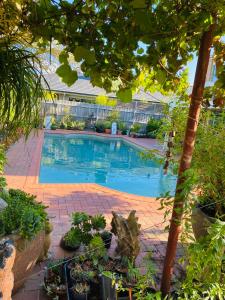 uma piscina num quintal com plantas em Merrypetch em Safety Beach