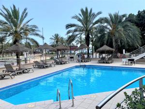 a swimming pool with chairs and umbrellas and palm trees at Ohtels Gran Hotel Almeria in Almería