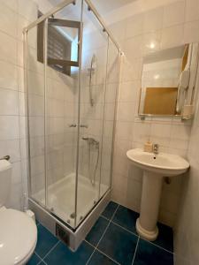 ein Bad mit einer Dusche, einem Waschbecken und einem WC in der Unterkunft Apartmani Stanojevic in Kotor