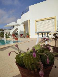 Bazén v ubytování Chambres d'hôtes Conviviales avec piscine privée Chambre Blue Lagune & Suite Azur nebo v jeho okolí + 10 fotografií