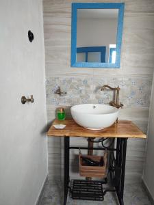 a bathroom with a sink and a mirror at Casa Traditionala Clisciova in Murighiol
