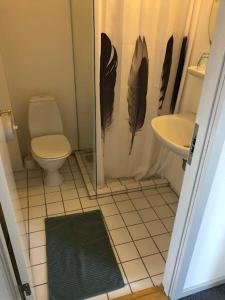 Terndrup Kro : حمام مع دش مع مرحاض ومغسلة