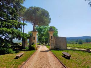 uma estrada de terra com dois bancos num campo em Hôtel Villa Walbaum em Vallon-Pont-dʼArc