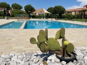 Der Swimmingpool an oder in der Nähe von LunaSole Casa vacanza mare