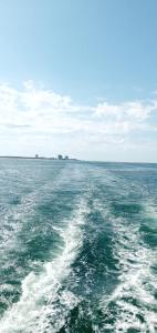 uma vista para o oceano a partir da parte de trás de um barco em Casa do Escorrega em Grândola