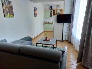 a living room with a couch and a table and a refrigerator at Rėzos Apartments in Juodkrantė