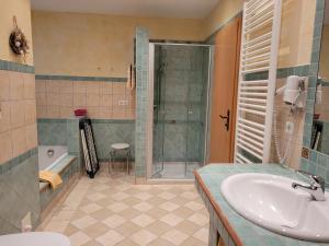 Ένα μπάνιο στο Appartementhaus Steiger +19 φωτογραφίες