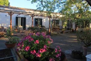 A garden outside Etna B&B La casa di Pippinitto