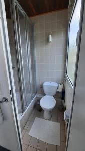コッヘムにあるPension Schneiderのバスルーム(トイレ、シャワー付)
