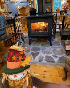 a fireplace in a living room with a stove at Blueberry Fields Bed & Breakfast in Jefferson
