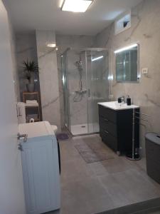 a bathroom with a shower and a sink at Apartments Marijana in Zavalatica +37 photos