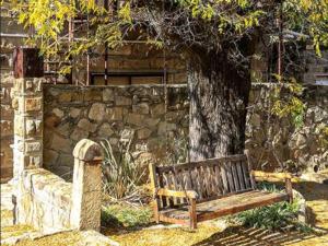 un banco de madera sentado bajo un árbol junto a una pared de piedra en The Green Acorn Guest House, en Ficksburg