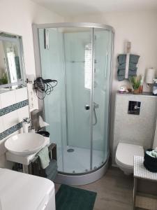 La salle de bains est pourvue d'une douche, de toilettes et d'un lavabo. dans l'établissement Ferienhaus kleine Remise, à Langelsheim