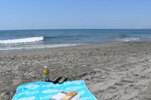Zdjęcie z galerii obiektu Fantastic studio - beachfront w mieście Torrox
