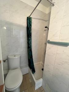 a bathroom with a toilet and a shower at Appartement Presqu île de Giens in Hyères